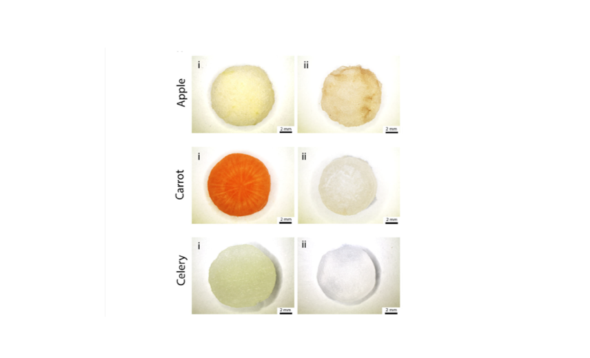 Plant tissues such as natural 3D scaffolding for the regeneration of adipose tissue, bone and tendon