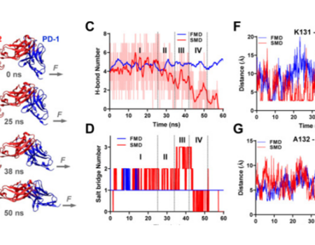 Immuno-engineering: Mechanical force regulates ligand bonding and function of PD-1