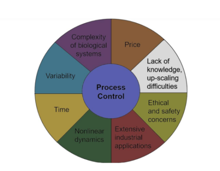 Improving the Sustainability and Efficiency of Biotechnological Processes with Magnetic Fields