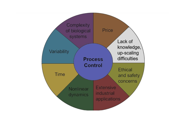 Improving the Sustainability and Efficiency of Biotechnological Processes with Magnetic Fields