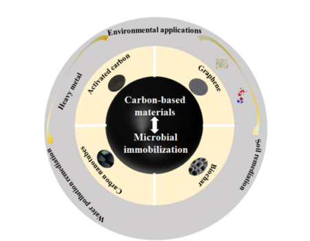 Innovation in Environmental Remediation: Microorganisms Immobilized in Carbon-Based Materials